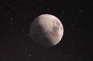 عدسة عمانية